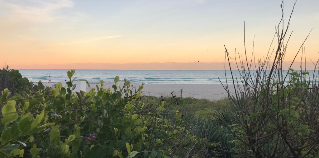 Beach Sunset Landscape
